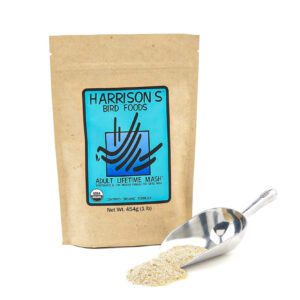 adult lifetime mash 1lb