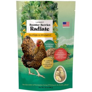 radiate booster berries 10 oz chicken